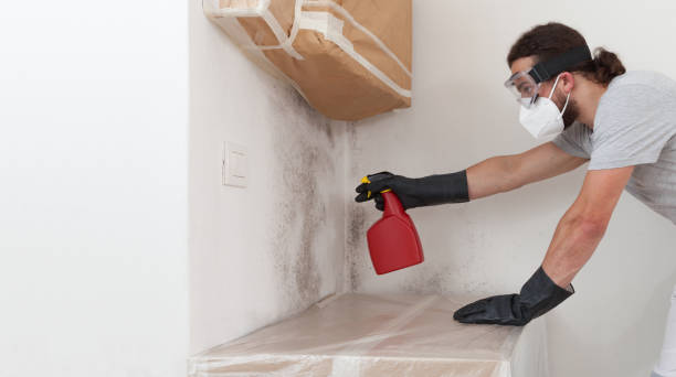 Professional Crawl Space Mold Removal technician working in Montville, NJ