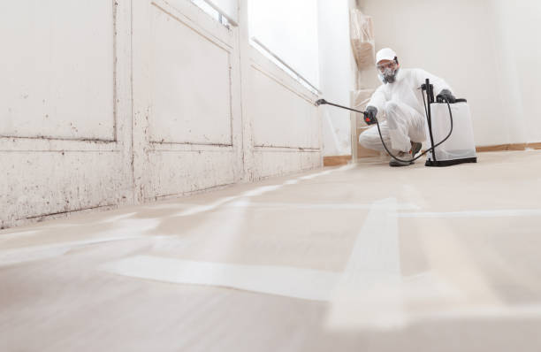 24/7 Emergency Crawl Space Mold Removal experts in Montville, NJ