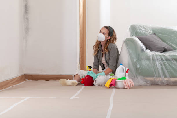 Reliable Crawl Space Mold Removal contractor in Montville, NJ by WQB Mold Removal