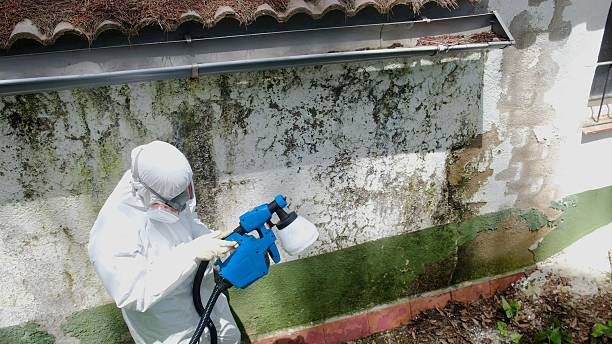 Top rated local Crawl Space Mold Removal specialists in Montville, NJ